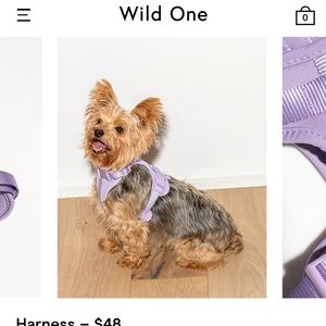 Wild One Harness XS NWT